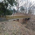Photos: ゆうゆうパークの木製の橋（1月2日）
