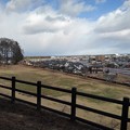 Photos: 烏ヶ森公園の丘の斜面の広場と柵（1月3日）