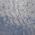 写真: 鱗雲（2月7日）