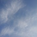 写真: 薄い雲（2月11日）