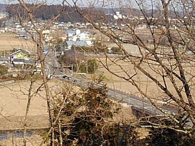 Photos: 川崎城跡公園の丘の上から見えた校舎（2月23日）