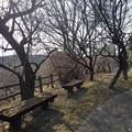 Photos: 川崎城跡公園の丘の歩道（2月23日）