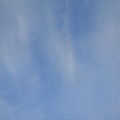 Photos: 薄い雲（3月1日）