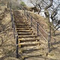 Photos: 川崎城跡公園の丘の中腹の階段（2月23日）