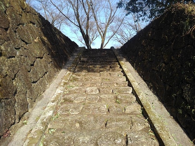 川崎城跡公園の丘の石段（2月23日）