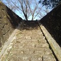 Photos: 川崎城跡公園の丘の石段（2月23日）