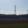 Photos: 水田の奥の鉄塔（2月28日）