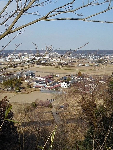川崎城跡公園の丘の上から見た橋（2月23日）