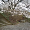 長峰公園の丘の階段と桜（3月24日）