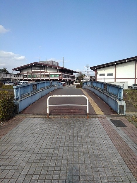 Photos: 正面の橋（3月28日）