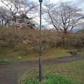 長峰公園の丘の街灯（3月24日）