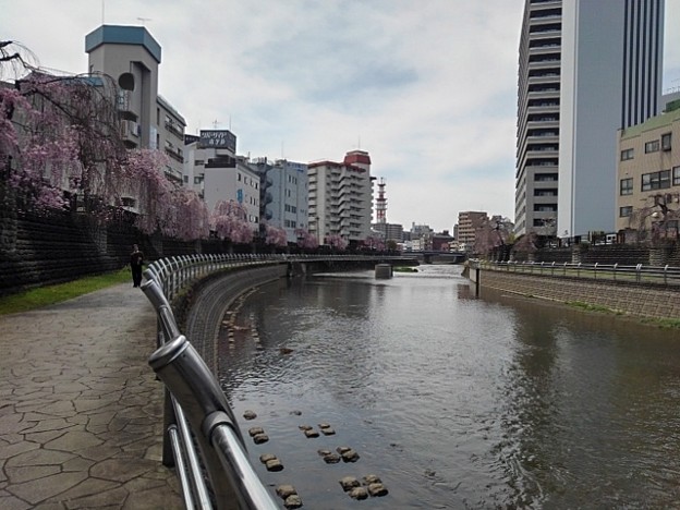 都市の川（3月31日）