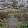 長峰公園の丘から見えた道と広場の景色（3月29日）