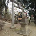 写真: 烏ヶ森公園の鳥居と狛犬（4月2日）