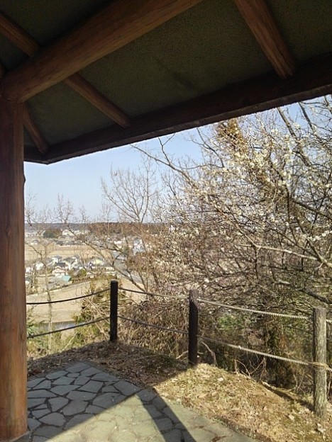 川崎城跡の丘の休憩所（3月11日）