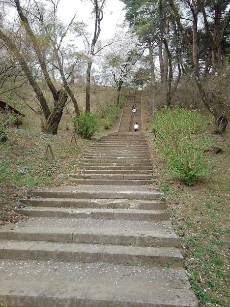 烏ヶ森公園の丘の急な階段（4月2日）