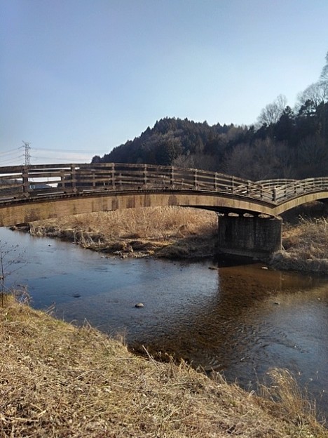 綺麗な水と木製の橋（2月23日）