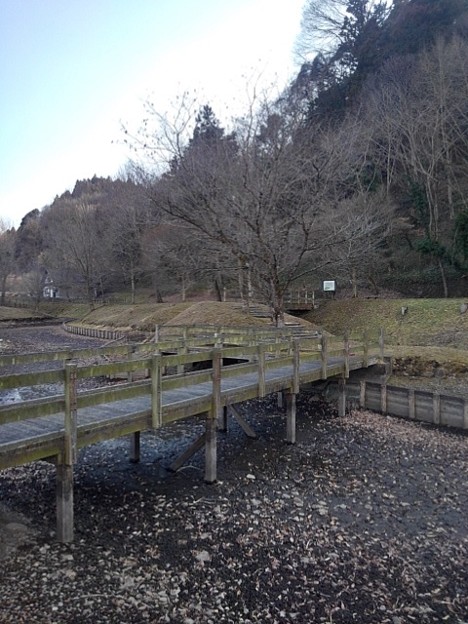 水のない川崎城跡の池（2月23日）