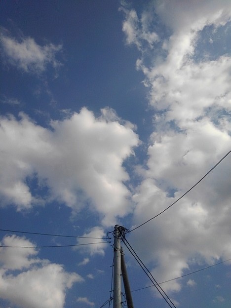 大きな雲と電柱（3月22日）
