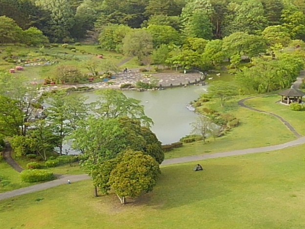 那須野が原公園のタワーから見えた池（4月29日）