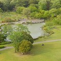 那須野が原公園のタワーから見えた池（4月29日）