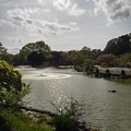 写真: 那須野が原公園の噴水のある池（4月29日）