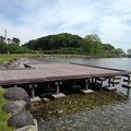 ゆうゆうパークの池の桟橋（5月3日）