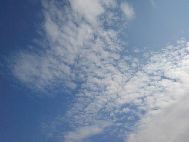 薄い雲（4月6日）