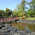 長峰公園の池の橋（4月22日）