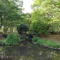 那須野が原公園の森の池（4月29日）
