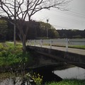 Photos: 小川の橋（4月14日）