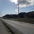 写真: 大きな道路と水田地帯（4月17日）