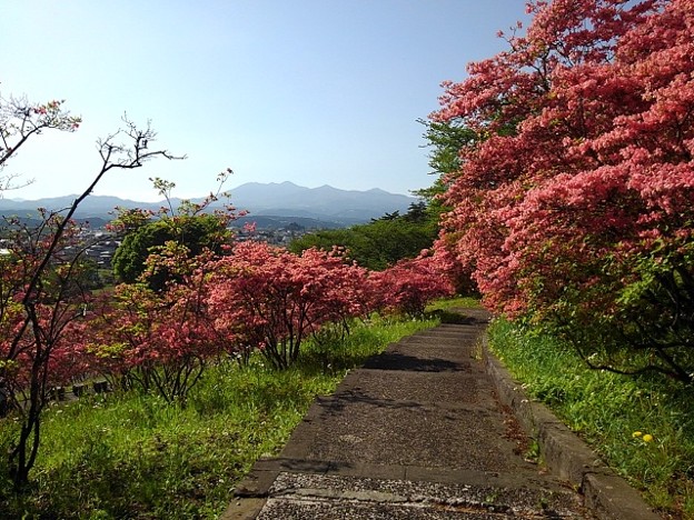 長峰公園の丘の緩やか階段歩道（4月22日）