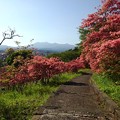 長峰公園の丘の緩やか階段歩道（4月22日）