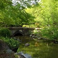 那須野が原公園の池の橋（4月29日）
