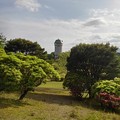 那須野が原公園の丘の眺め（4月29日）