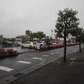 雨の街路樹（5月7日）
