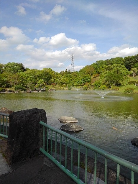 那須野が原公園の奥に鉄塔もある池（4月29日）