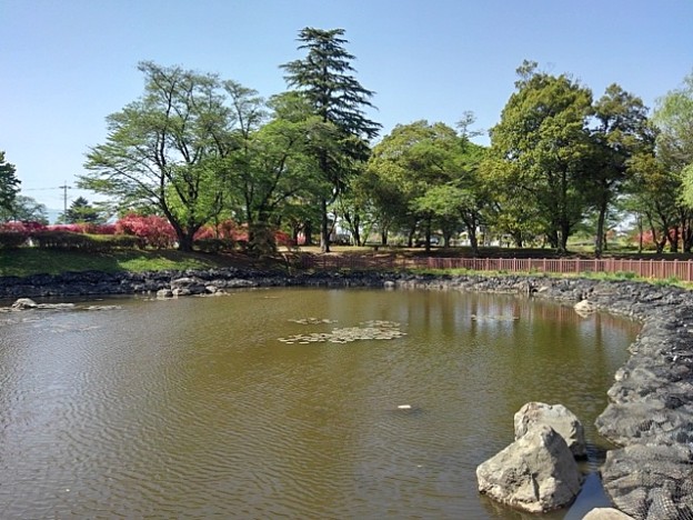 長峰公園の平和な池（4月22日）
