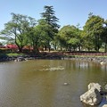 長峰公園の平和な池（4月22日）