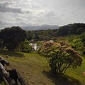 池も見える那須野が原公園の丘の眺め（4月29日）