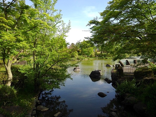 那須野が原公園の池の境界線（4月29日）