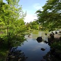 那須野が原公園の池の境界線（4月29日）