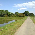 写真: 映り込みの水田と道（5月11日）