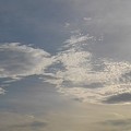 写真: 幻想的な鱗雲（5月6日）