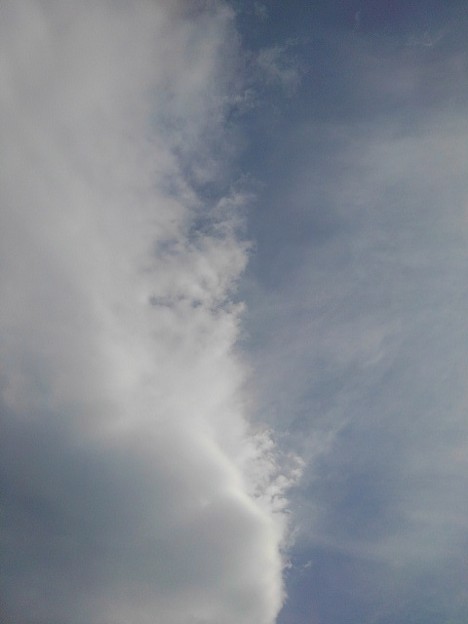 写真: 青空と雲のハーフ&ハーフ（5月6日）