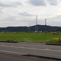 写真: 水田と鉄塔（5月27日）