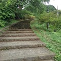 写真: 長峰公園の丘の上り階段（6月10日）