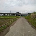 写真: 新幹線ガード近くの道路（5月15日）
