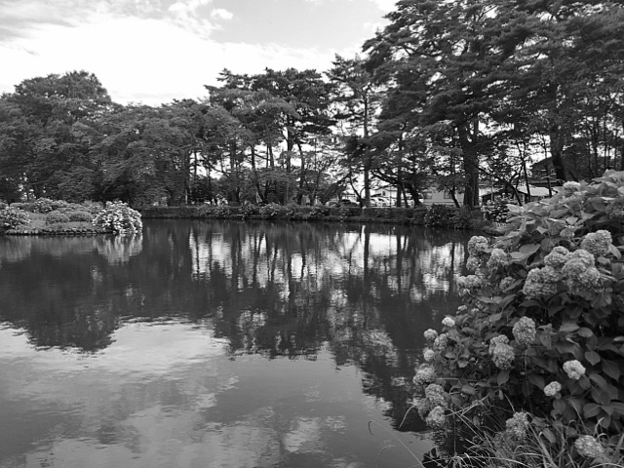 写真: 烏ヶ森公園の池の良い映り込み・モノクロ（6月16日）